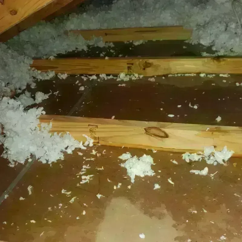 Attic Water Damage in Pawnee City, NE